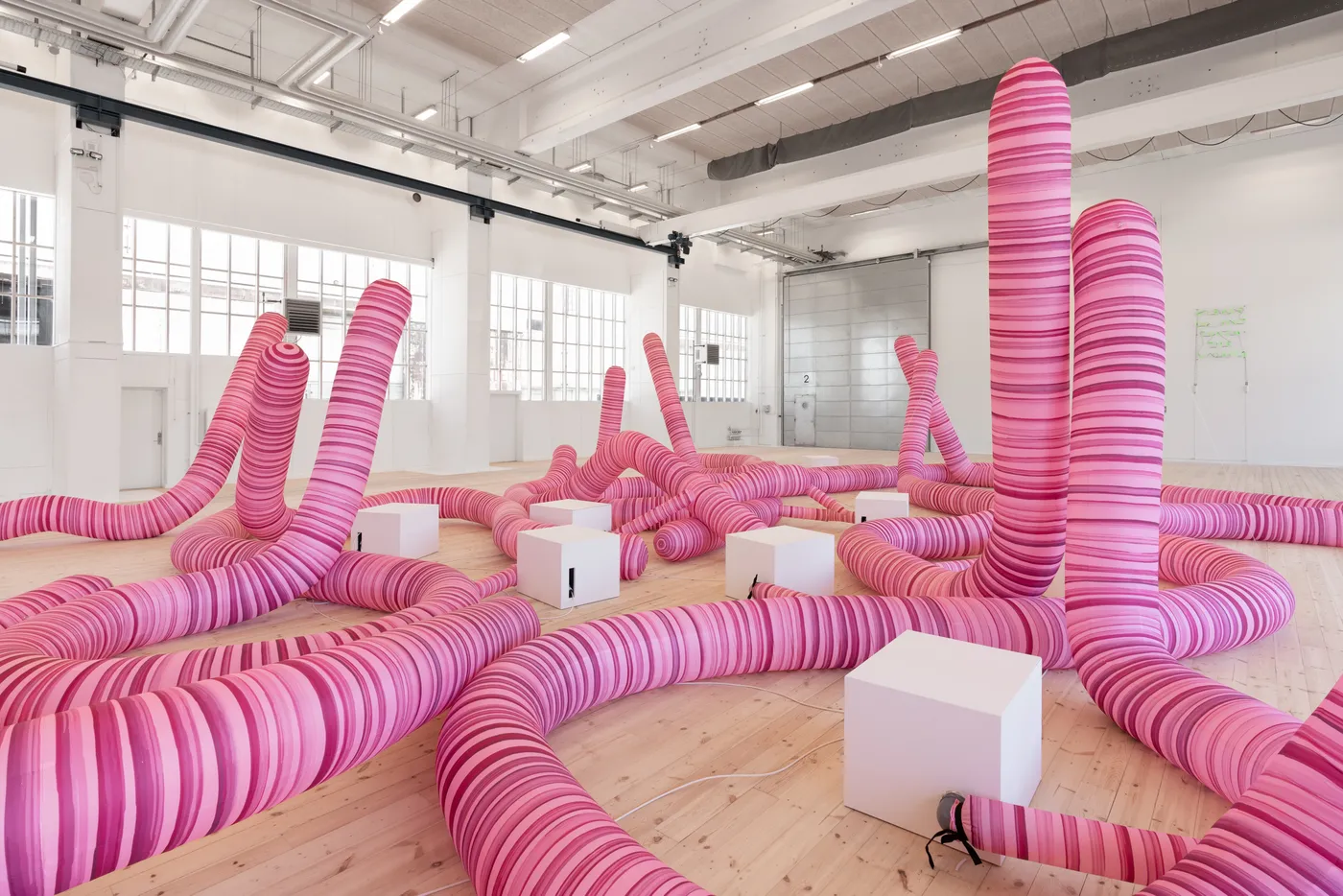 DO NOT TOUCH THE WORMS_David Shrigley_CC_006_Photo by David Stjernholm