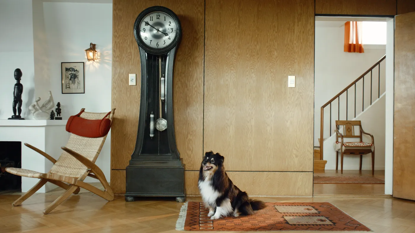 4.Dog&Clock