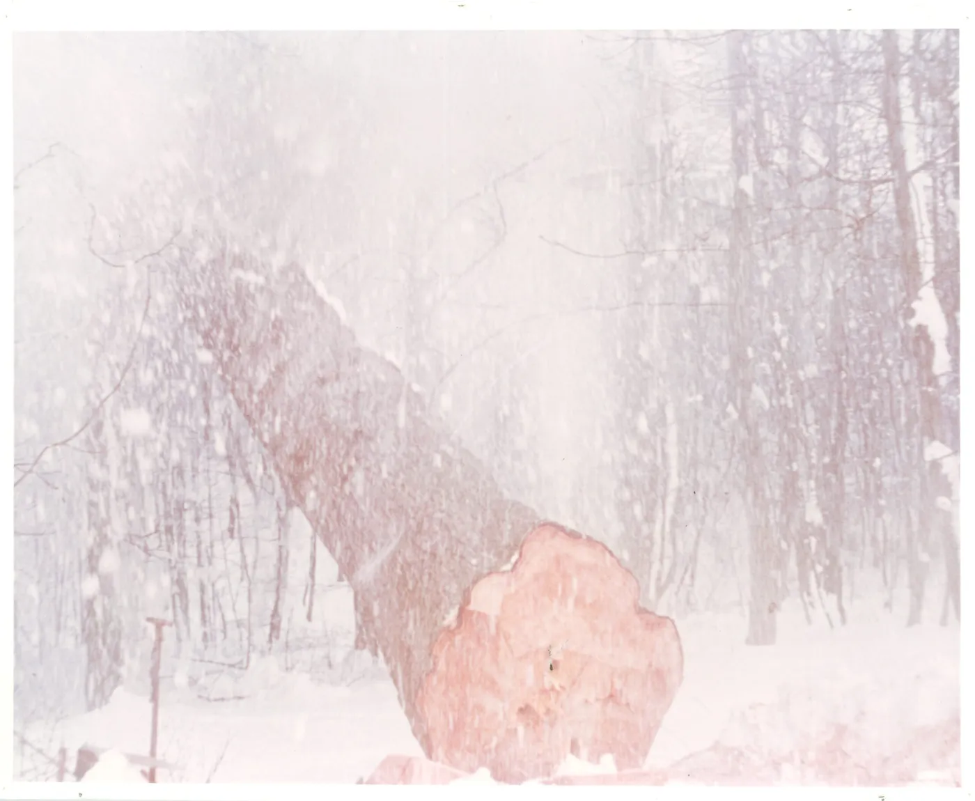 CC  SETS x Dinesen: julebal
