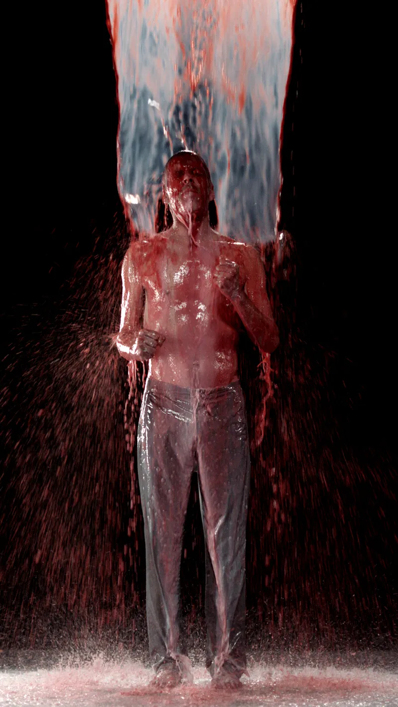 CC3 Bill Viola