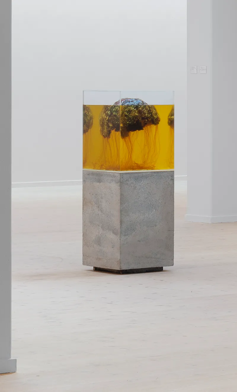 future friture-Maximalism-Mechanissmmm_Kunsthal_Aarhus_2022–23_Photo_Jacob_Friis-Holm_Nielsen_Courtesy_of_Kunsthal_Aarhus copy