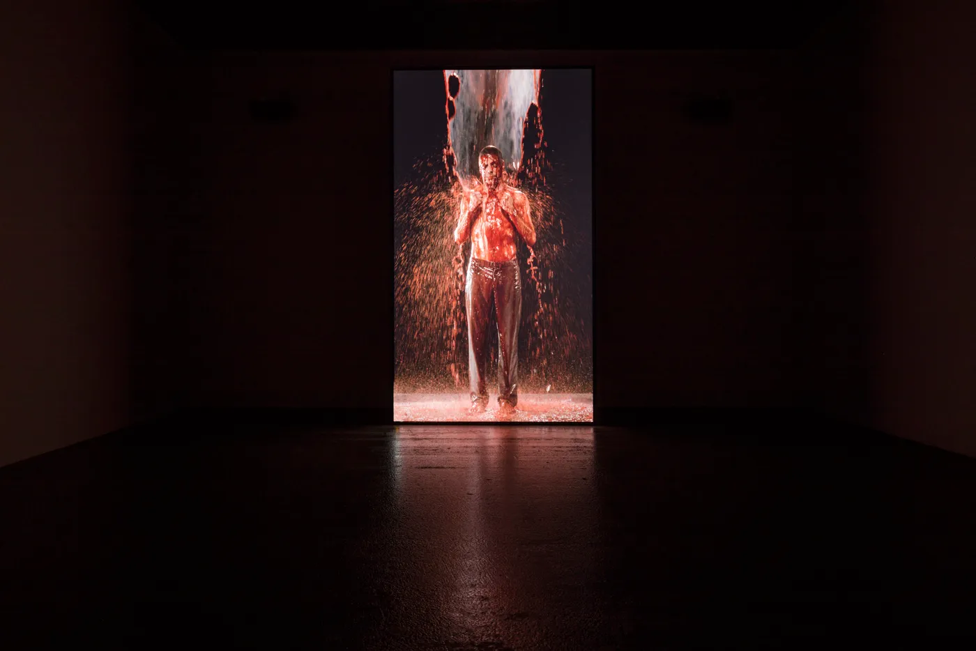 CC6 Bill Viola