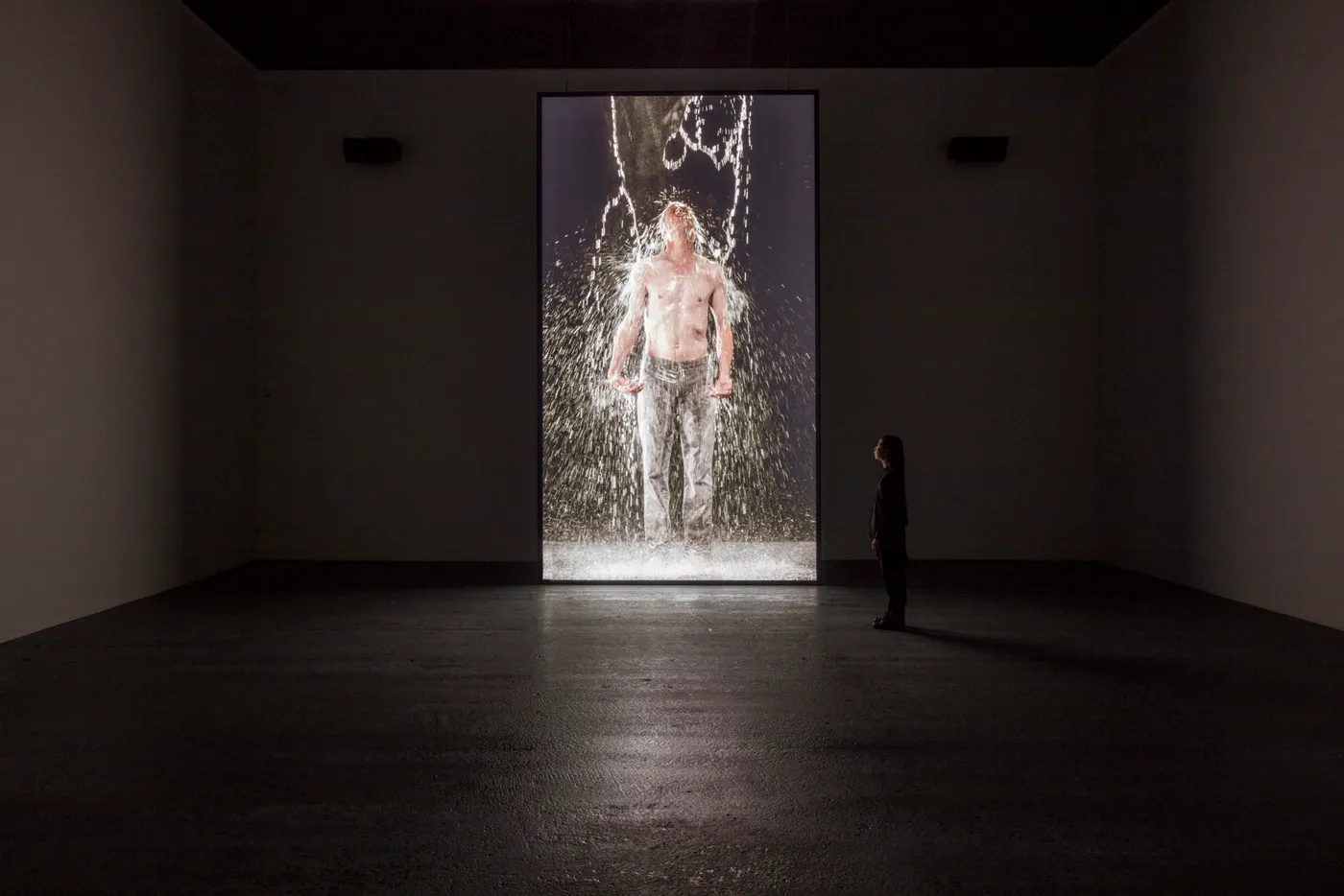 CC7 Bill Viola