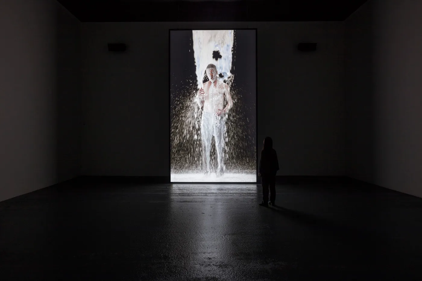 CC8 Bill Viola