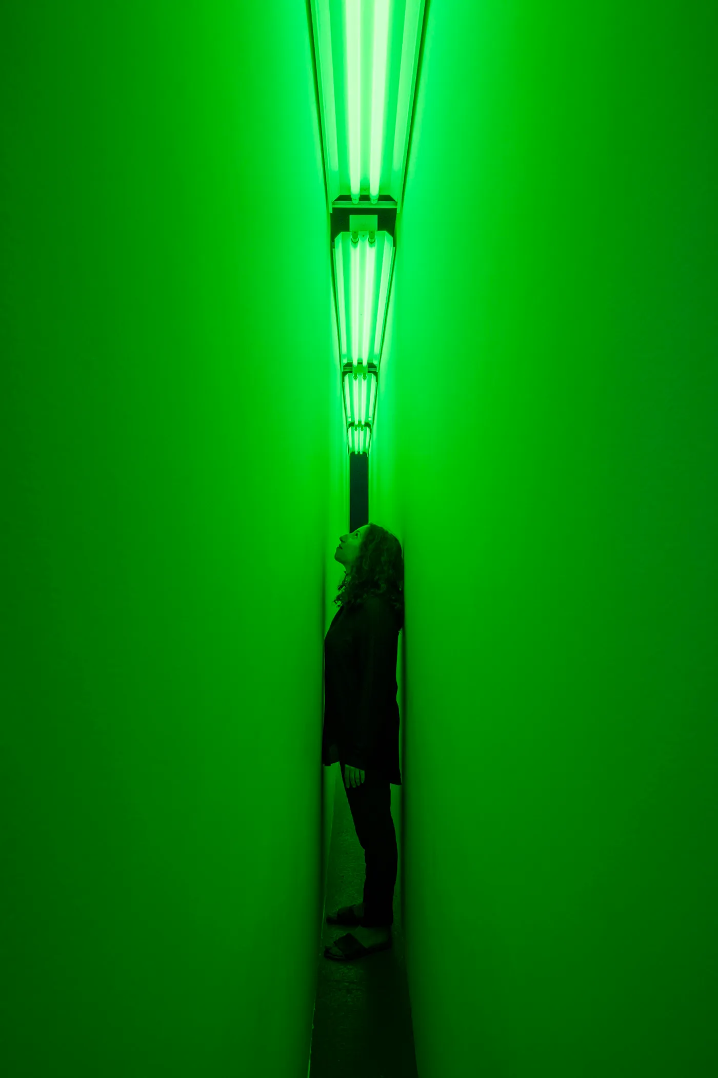 Nauman_GreenLightCorridor_CC_2